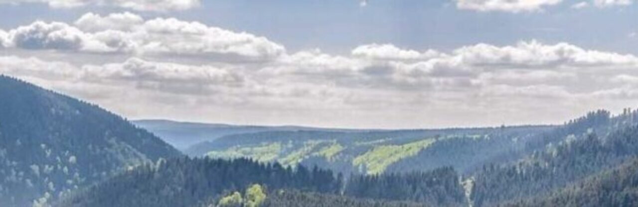 cropped-cropped-cropped-cropped-harz-1-1.jpg