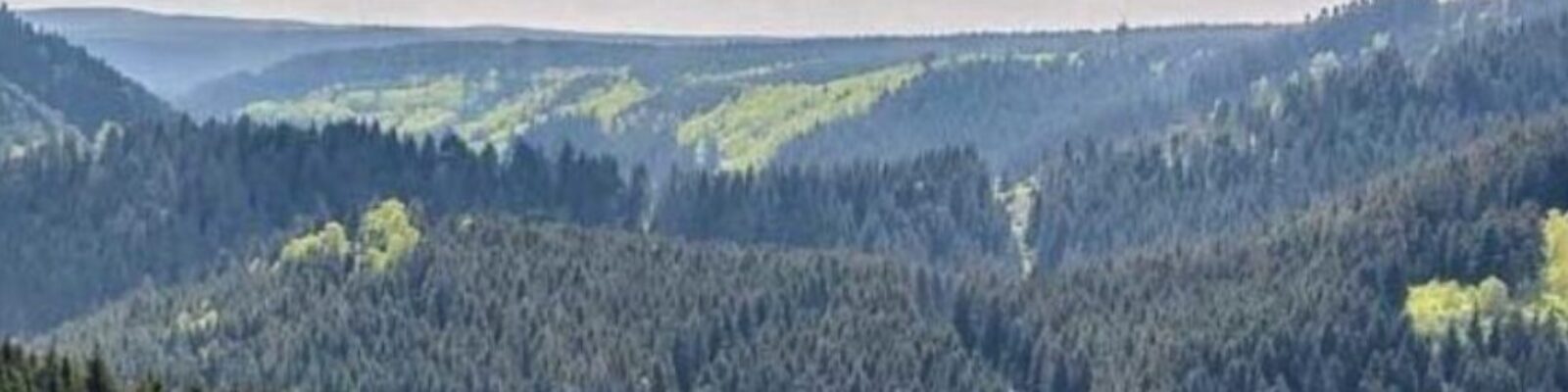 cropped-cropped-cropped-cropped-harz-1.jpg