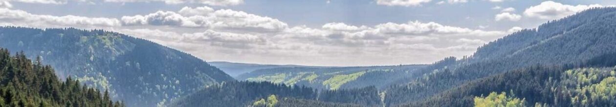 cropped-cropped-cropped-harz-1-1.jpg
