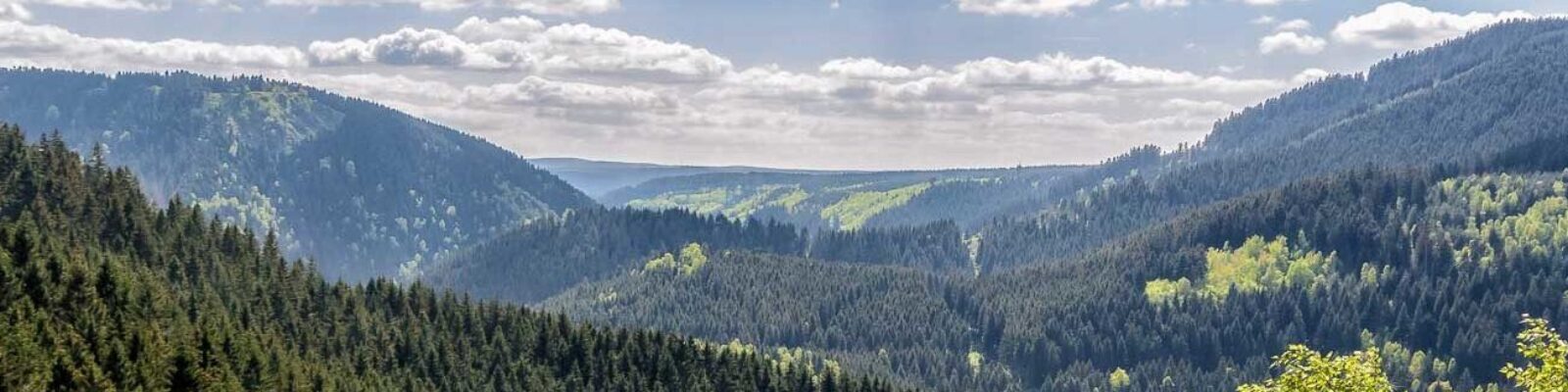 cropped-cropped-harz-1.jpg