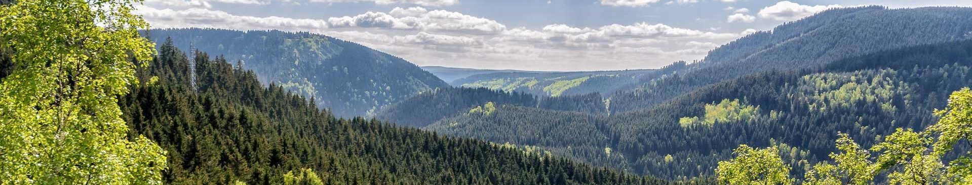 cropped-harz-1.jpg